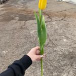 big_53